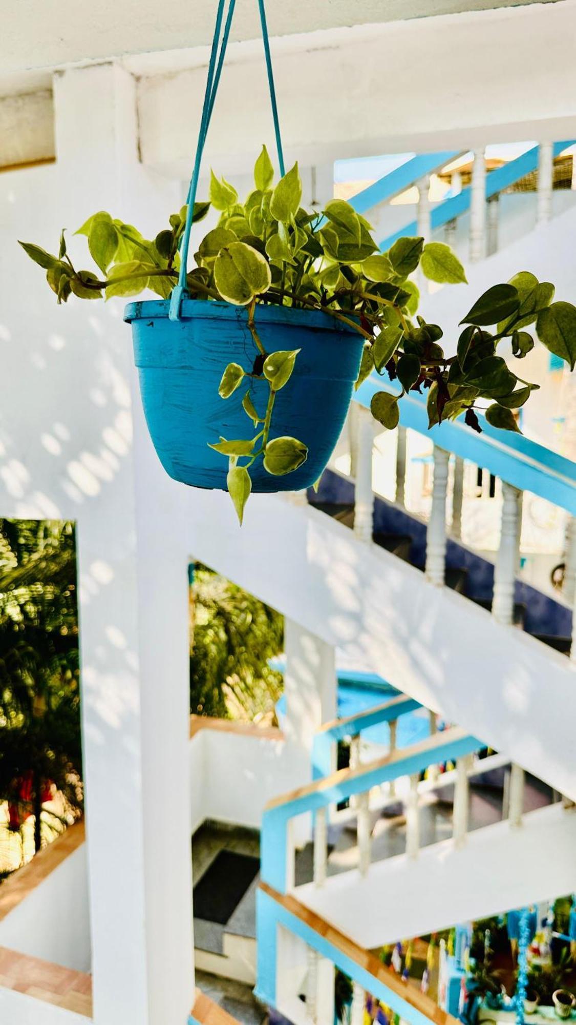 Omkar Wellness Inn Arambol Kültér fotó