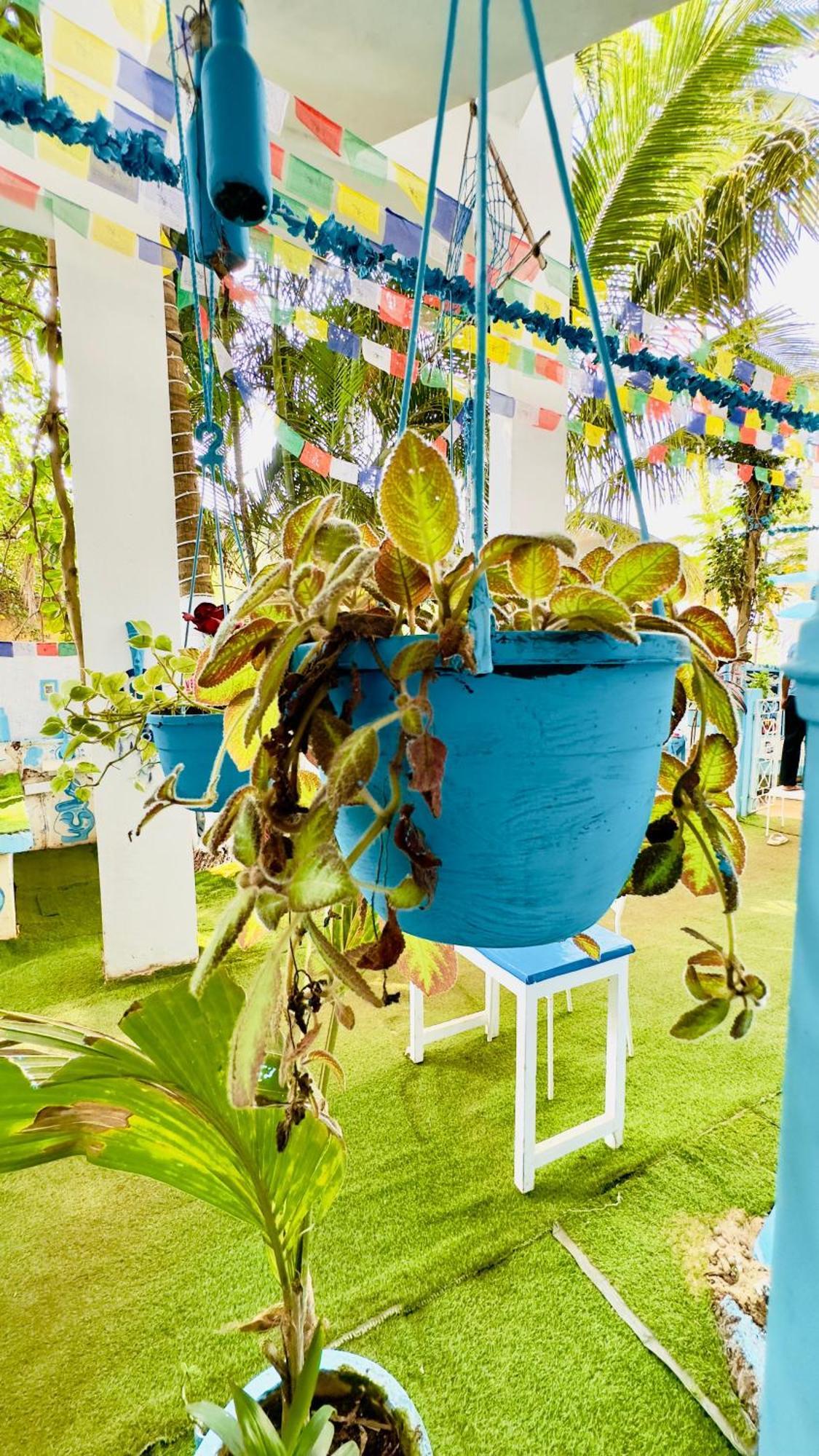 Omkar Wellness Inn Arambol Kültér fotó