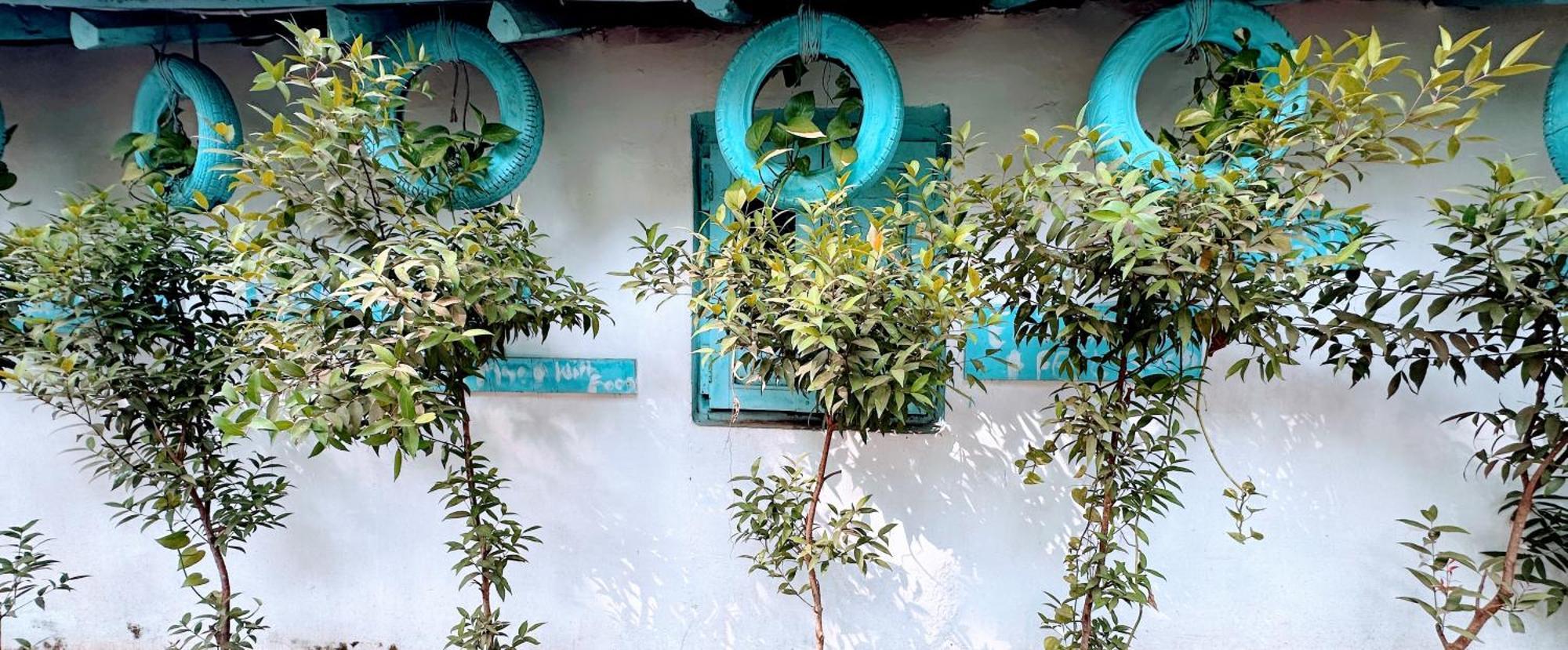 Omkar Wellness Inn Arambol Kültér fotó